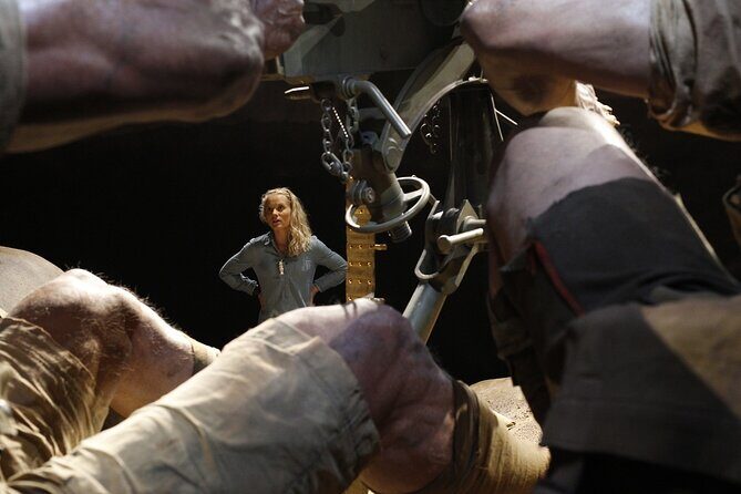 Museum of NZ Te Papa Tongarewa: Gallipoli Exhibition Guided Tour - Overall Value and Who It’s For