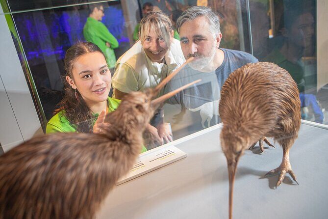 Museum of NZ Te Papa Tongarewa: International Visitor Entry - The Sum Up