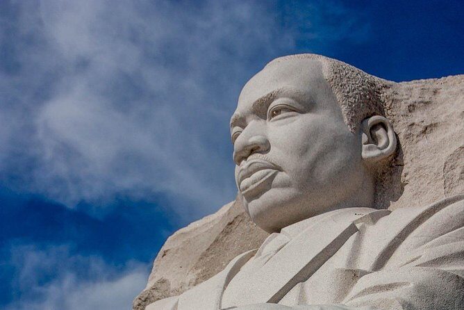 museum visit Us capitol City Tour Cruise cherry blossom 10 hours - Who Should Book This Tour?