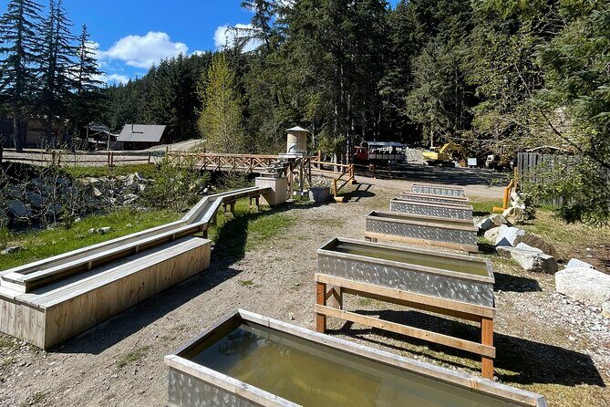Musher's Camp and Gold Panning Adventure - Key Points