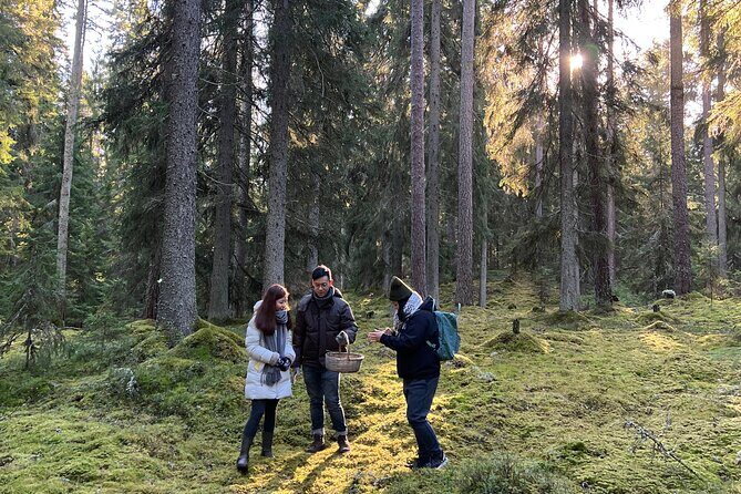 Mushroom Hunting in a National Park - FAQ