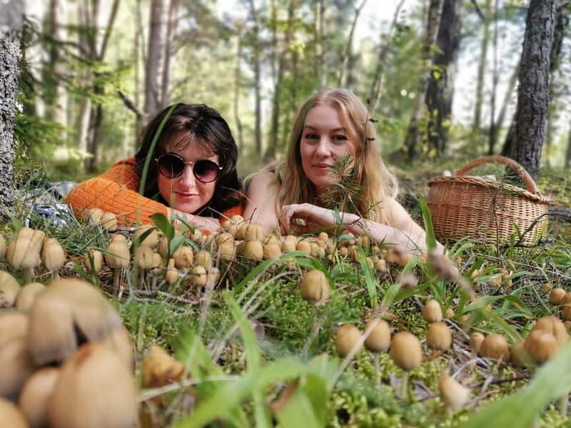 Mushroom picking in the forests near Riga - Practical Details: What You Need to Know