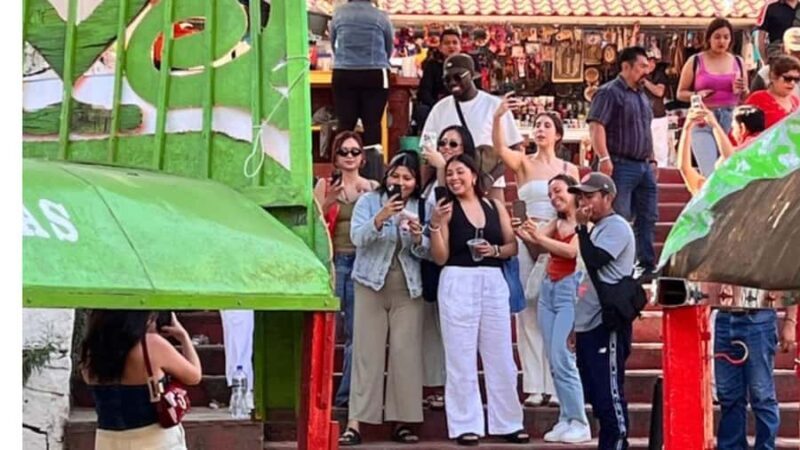 Music and Tequila in Xochimilco, plus a visit to Coyoacán and CU - Practical Details and Value