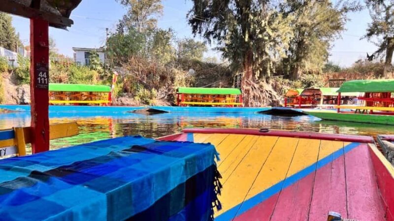 Music and Tequila in Xochimilco, plus a visit to Coyoacán and CU - Authenticity and Experience