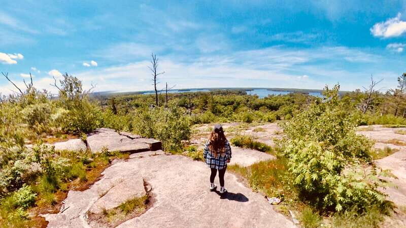 Muskoka: High Falls, Hardy Lake, & Huckleberry Rock Tour - Key Points