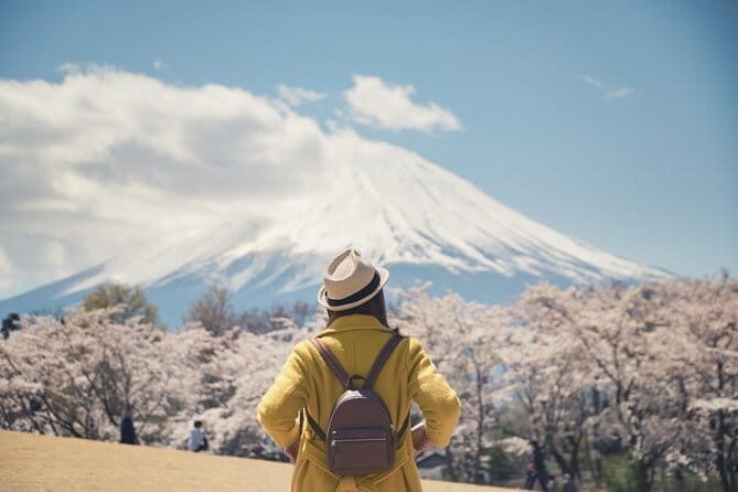 Muslim Friendly Mount Fuji Tour with English Speaking Guide - The Sum Up: Who Will Love This Tour?