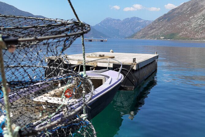 Mussel & Oyster Farm with Perast visitation Private Tour - Authentic Experiences from the Reviews