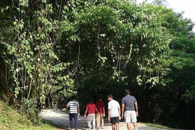Mussoorie Nature Walk Tour - Key Points