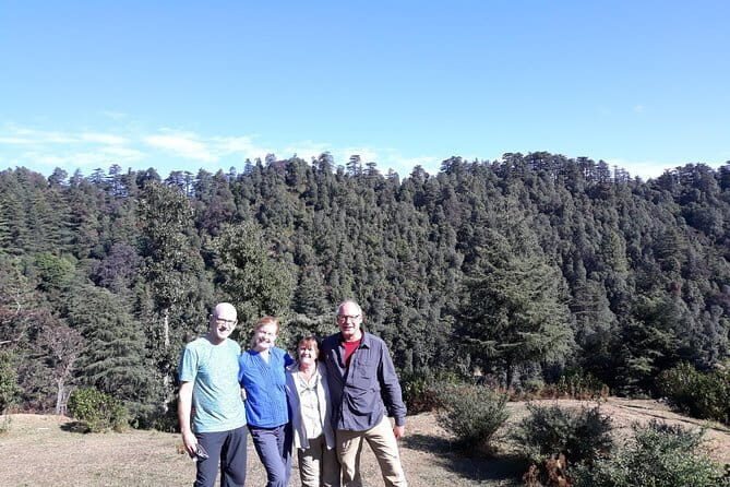 Mussoorie Nature Walk Tour - An In-Depth Look at the Mussoorie Nature Walk Tour