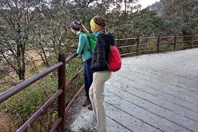 Mussoorie Walking Tour - Hathipaon to Clouds End - An In-Depth Look into the Walk from Hathipaon to Clouds End