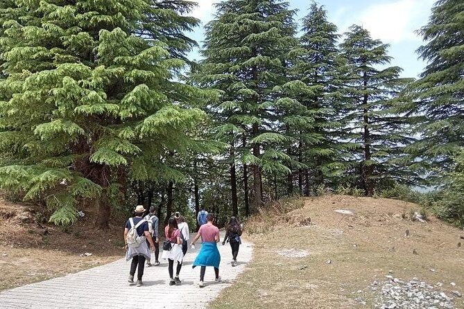Mussoorie Walking Tour - Hathipaon to Clouds End - Why Choose This Tour?