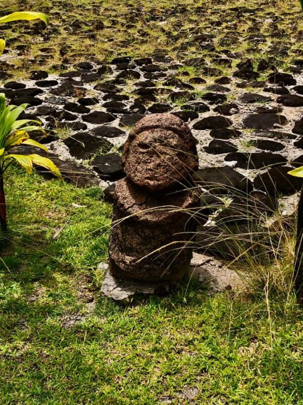 Must-Do : Nature, Culture & Moments Uniques  MirimirI Tours - An In-Depth Look at the Tour