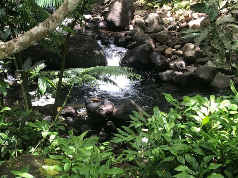 Must-Do : Nature, Culture & Moments Uniques  MirimirI Tours - Practical Details and Tips