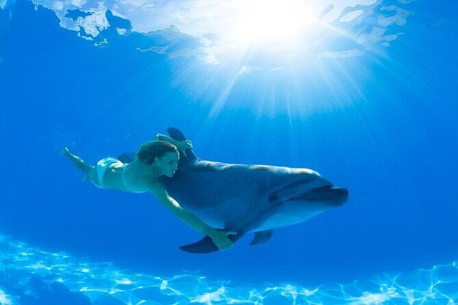 Must-DO The only and Unique Natural Space Dolphin Encounter Cabo - The Sum Up