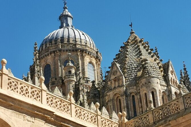 Must see Salamanca Walking Tour (could be billingual) - Authentic Experiences and Reviewer Insights