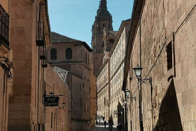 Must see Salamanca Walking Tour (could be billingual) - The Sum Up