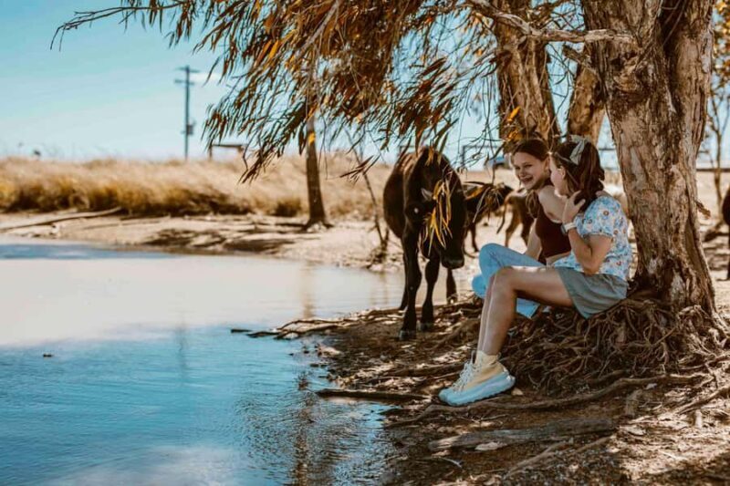 Mutchilba: Farm Animal Feeding - The Sum Up