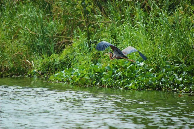 Muthurajawela Bird Watching Boat Tour - Pricing and Value Analysis