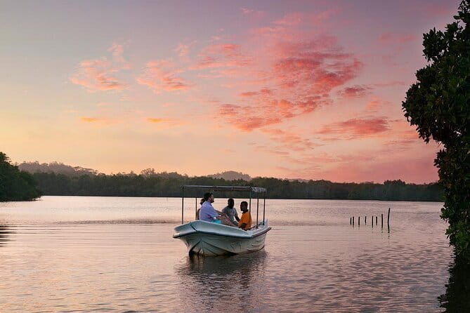 Muthurajawela Bird Watching Day Tour from Colombo or Negombo - Introduction