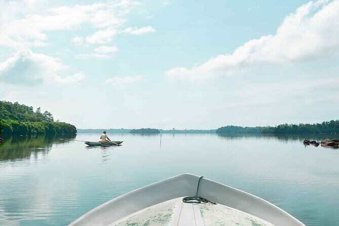 Muthurajawela Bird Watching Day Tour from Colombo or Negombo - A Detailed Look at the Muthurajawela Bird Watching Tour
