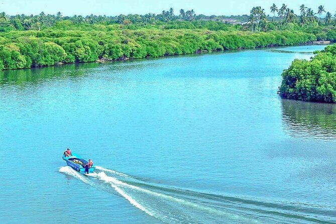 Muthurajawela Bird Watching Tour from Negombo / Colombo - An In-Depth Look at the Tour Experience