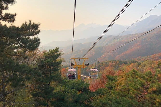Mutianyu Great Wall and Summer Palace Layover Tour from Beijing Capital Airport - Transportation and Comfort