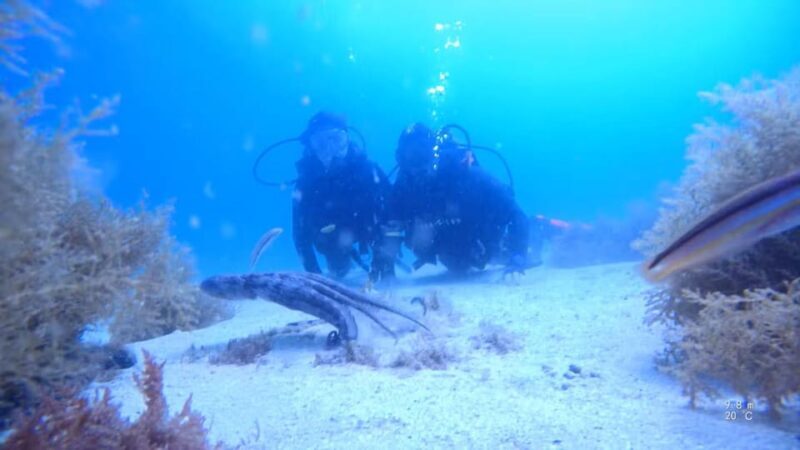 My first scuba dive in the Ocean from Madeira - What to Expect from Your Madeira Scuba Experience