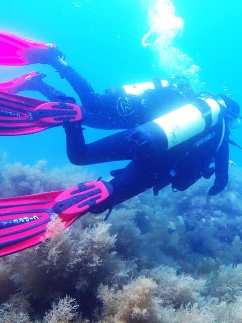 My first scuba dive into the Ocean from Sao Miguel - Key Points