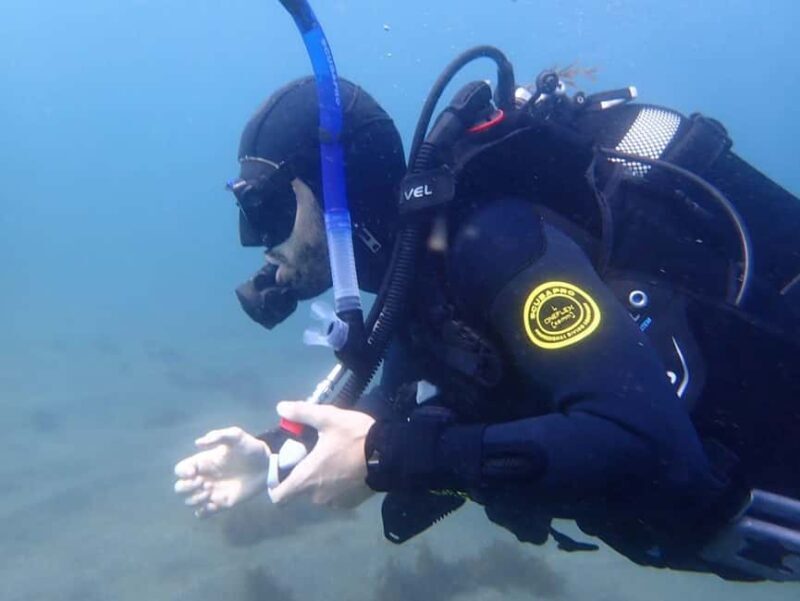 My First Scuba Dive into the Ocean from Terceira - Azores - Exploring the Azores Underwater World: A Detailed Breakdown