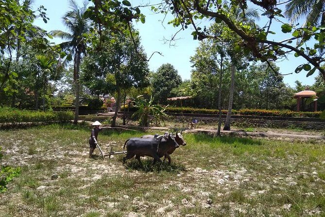 MY LAI MASSACRE Private Tour from Da Nang City or Hoi An City - The Transport and Logistics