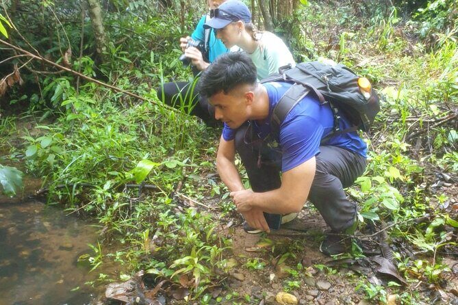 My Son sanctuary and mountain trekking - An In-Depth Look at the Tour Experience