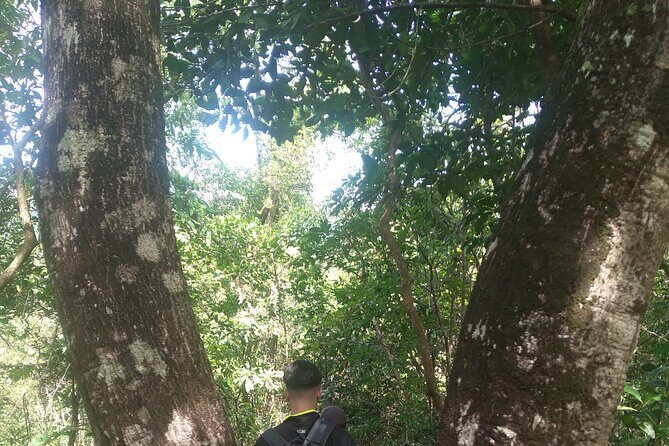 My Son sanctuary and mountain trekking - The Sum Up: Is This Tour Right for You?