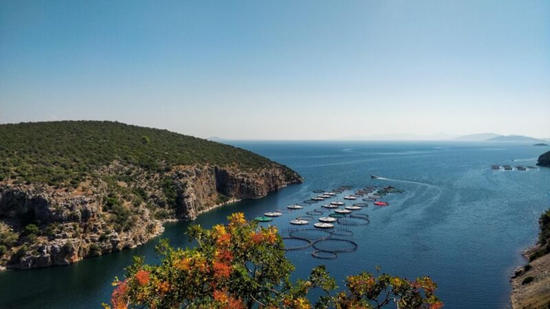 Mycenae-Nafplio Private Full Day Tour with mini bus - The Sum Up