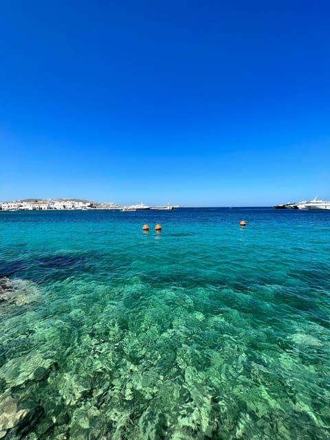 Mykonos: Beach Hopping Tour by Van - What to Expect from the Mykonos Beach Hopping Tour