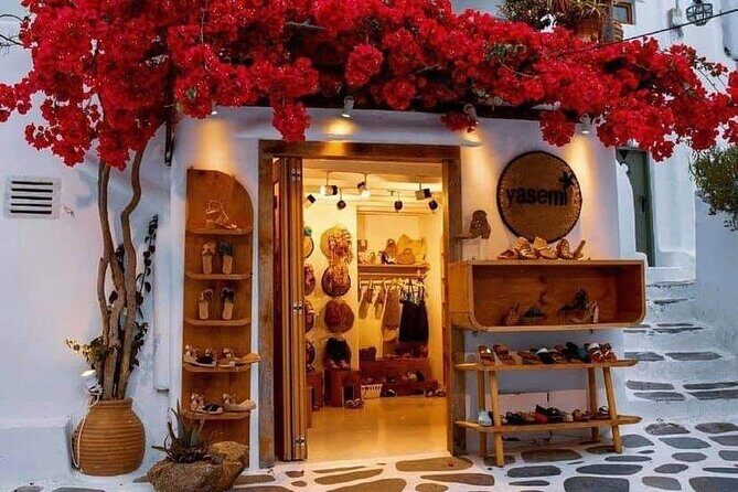 Mykonos Coastal Delights: A Cruise Passenger's Dream Day - The Sum Up: Who Is This Tour For?