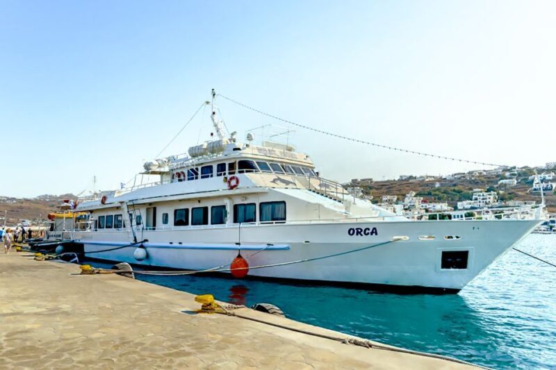 Mykonos: Delos Boat Transfer with Cell Phone Audioguide - Practical Tips for Your Visit