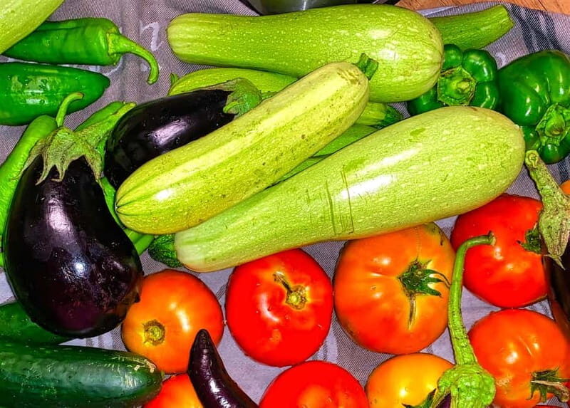 Mykonos: Group Cooking Class at the Home of a Local Family - Who Should Book This Experience?