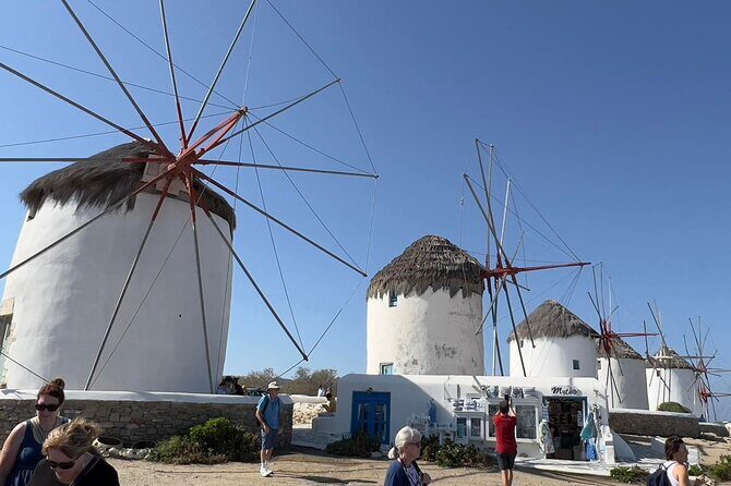 Mykonos Half Day Private Shore Excursion - A Closer Look at the Mykonos Half Day Private Shore Excursion