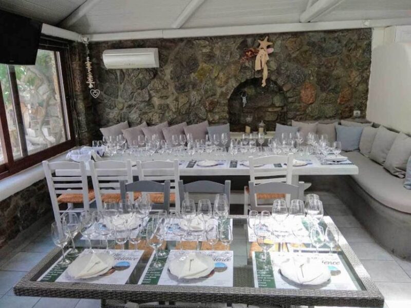 Mykonos: Half-Day Wine Tasting and Snack at a Local House - An Authentic Taste of Greece in a Cozy Mykonian Home