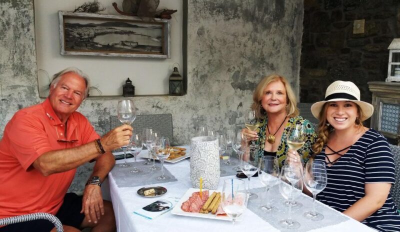 Mykonos: Half-Day Wine Tasting and Snack at a Local House - The Heart of the Tour: Tasting Six Greek Wines