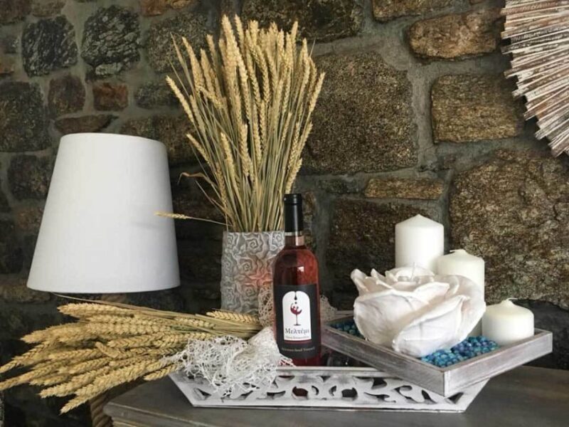 Mykonos: Half-Day Wine Tasting and Snack at a Local House - Final Moments and Return