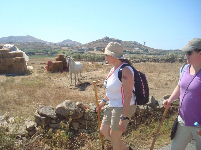 Mykonos Hiking Adventure - Authentic Reviewer Insights