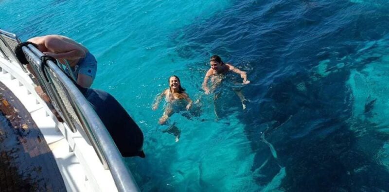 Mykonos: Little Venice and Agios Stefanos Cruise with Lunch - Key Points