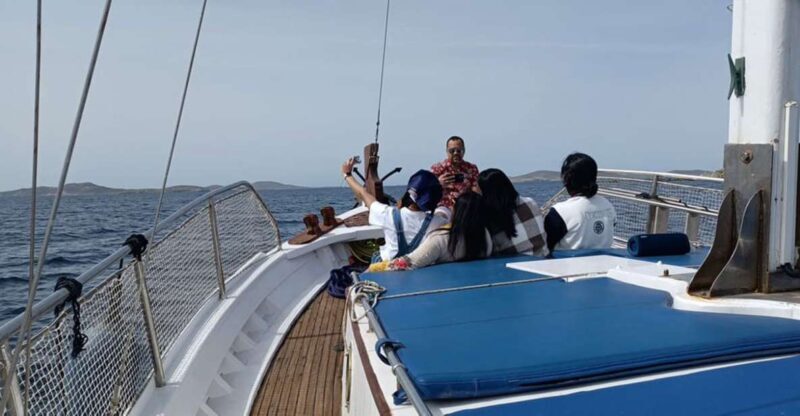 Mykonos: Little Venice and Agios Stefanos Cruise with Lunch - A Detailed Look at the Little Venice and Agios Stefanos Cruise