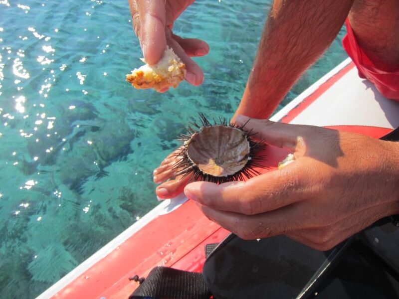 Mykonos: Private Boat Trip and Snorkeling Sea Safari - Exploring the Mykonos Coastal Scene