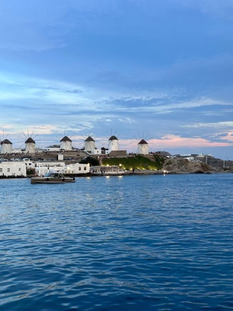 Mykonos: private half-day cruise south beaches of Mykonos - Who Should Book This Tour?