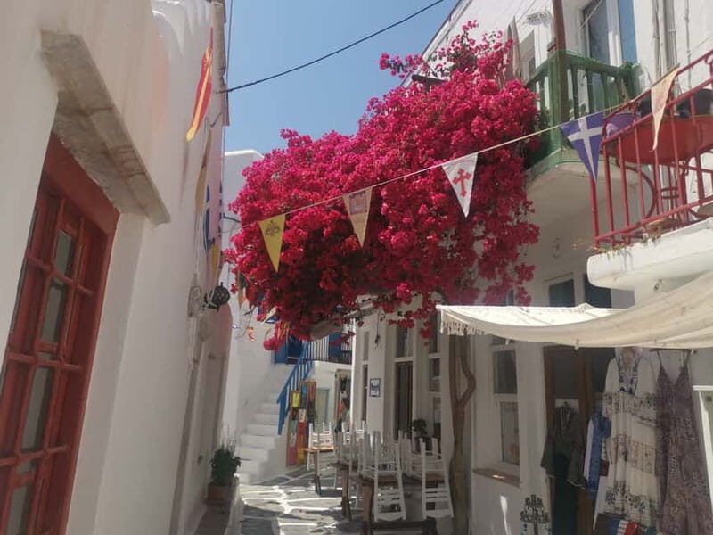 Mykonos: Private Tour with Range Rover - Who Should Book This Tour?