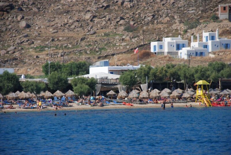 Mykonos: South Coast Cruise - Who Should Consider This Tour?