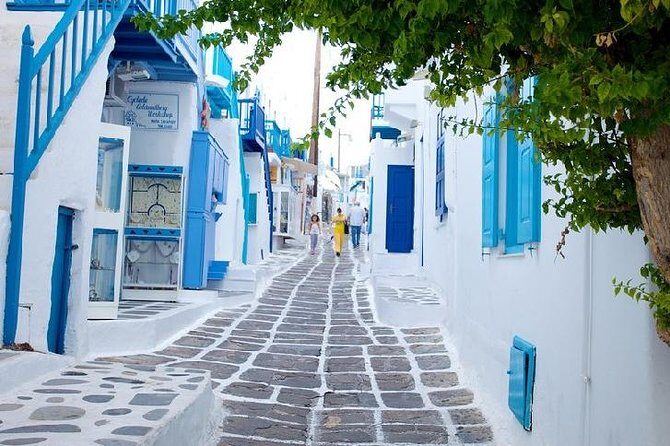 Mykonos Town and Island Half-Day Tour - Key Points