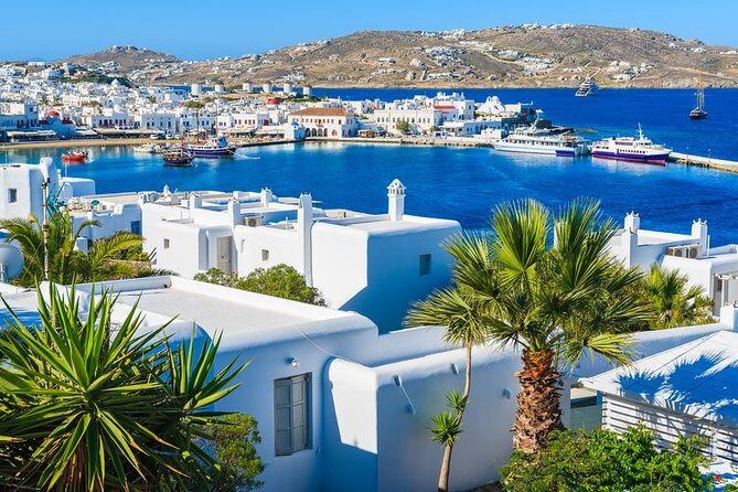 Mykonos Town and Island Half-Day Tour - Who Should Book This Tour?